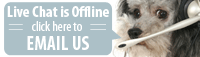 Live Support Chat