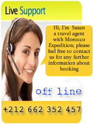 Live Support Software