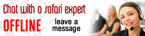 Live Support Software