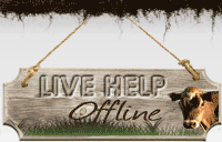 Live chat