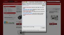 Visitor chat window