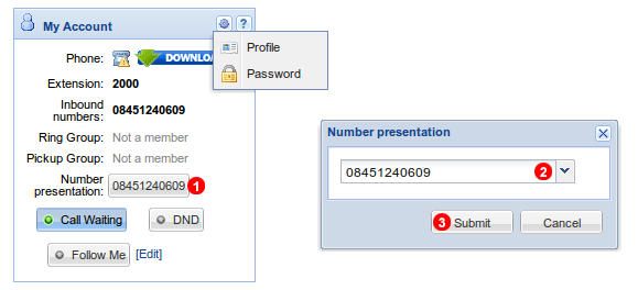 Caller Line Identification window